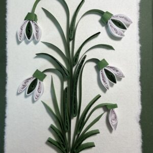 January Snowdrop Flowers